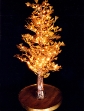 黄金のツリー.jpg